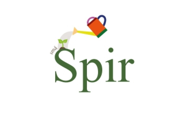 Små Spir